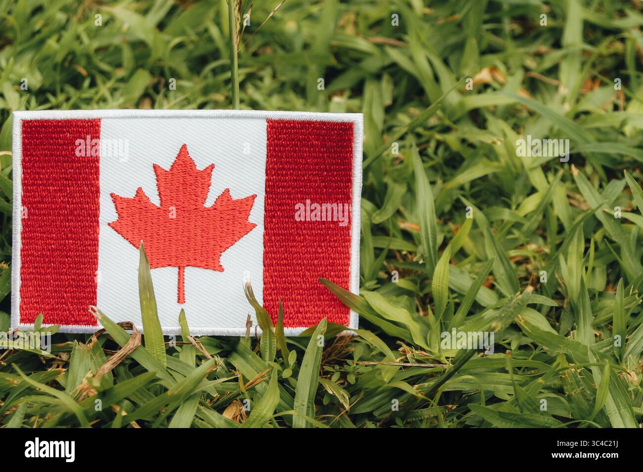 Bandiera canadese ricamata sull'erba con spazio per il testo. Concetto ecologico per la giornata della Terra, consapevolezza del cambiamento climatico e temi ambientali. Foto Stock