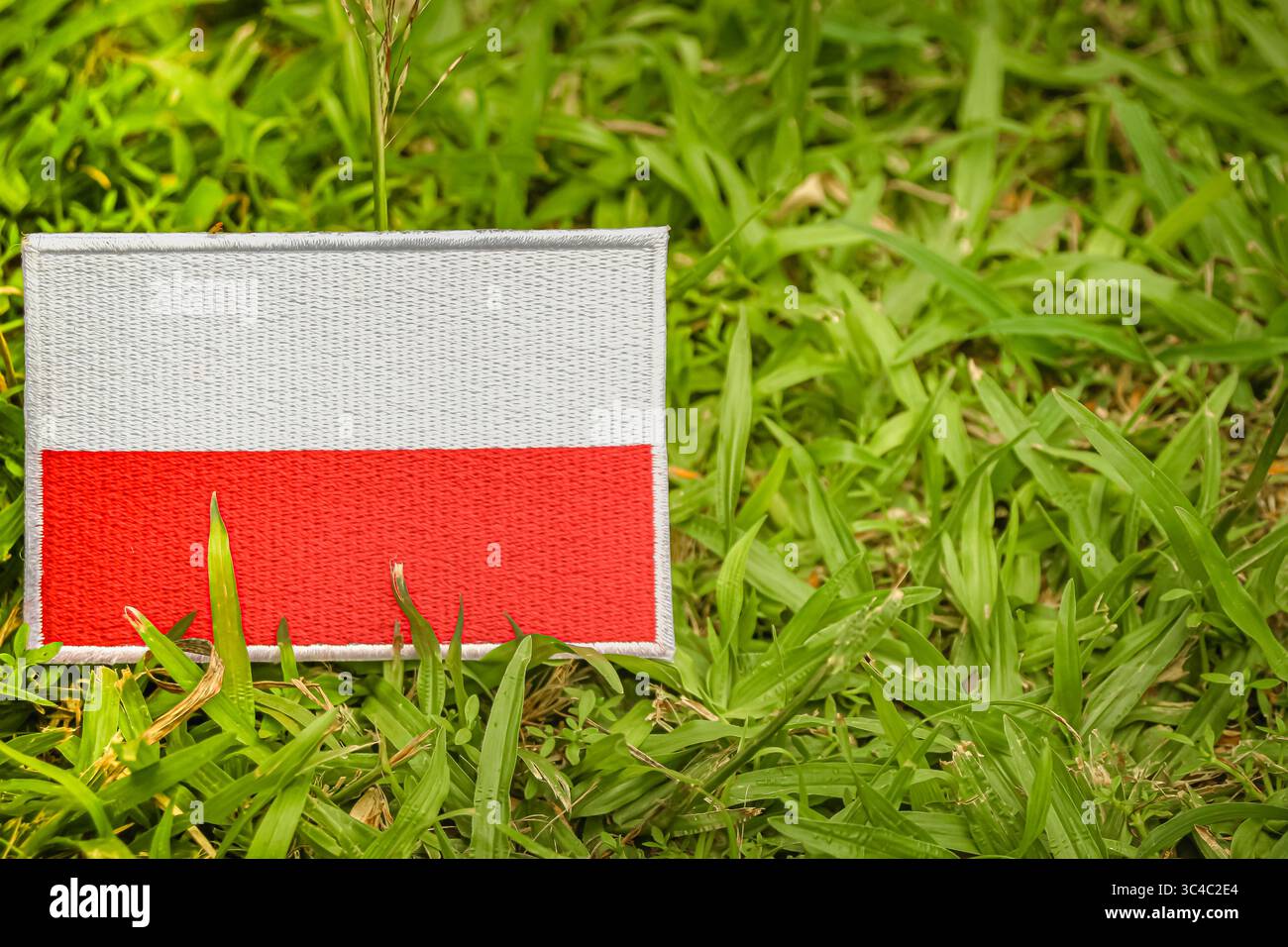 Bandiera polacca ecocompatibile realizzata in tessuto su erba verde, allineata a sinistra con lo spazio a destra per il testo, a simboleggiare la consapevolezza del clima. Foto Stock