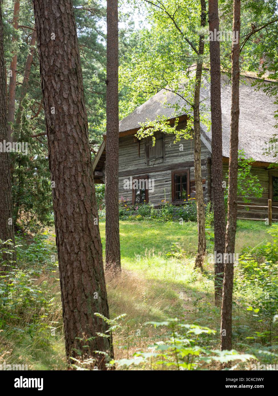 Casa tradizionale in legno presso il Museo Etnografico all'aperto lettone in una pineta vicino a riga, Lettonia Foto Stock
