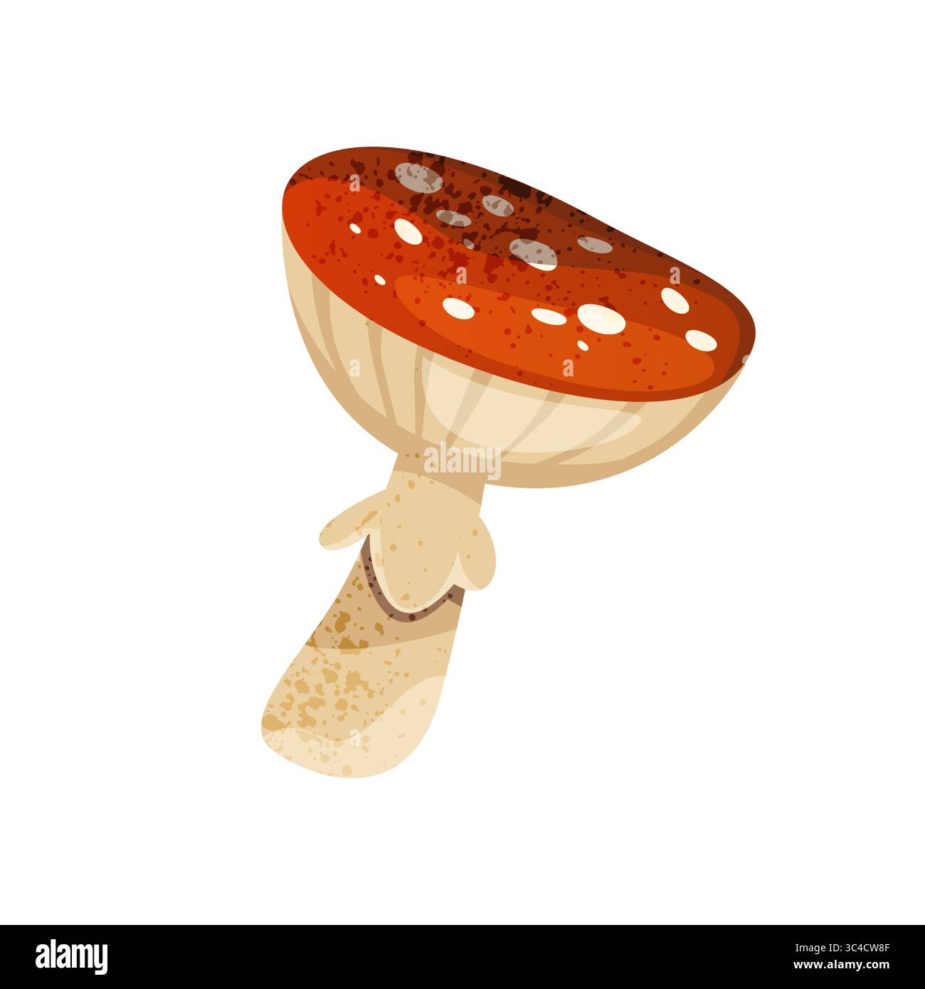 Vola agarico o amanita, fungo velenoso. Tappo rosso vettoriale e puntini bianchi piante forestali o funghi tossici del legno. Autunno o autunno natura nel bosco. Non commestibile e folcloristico. Micologia e biologia. Illustrazione Vettoriale