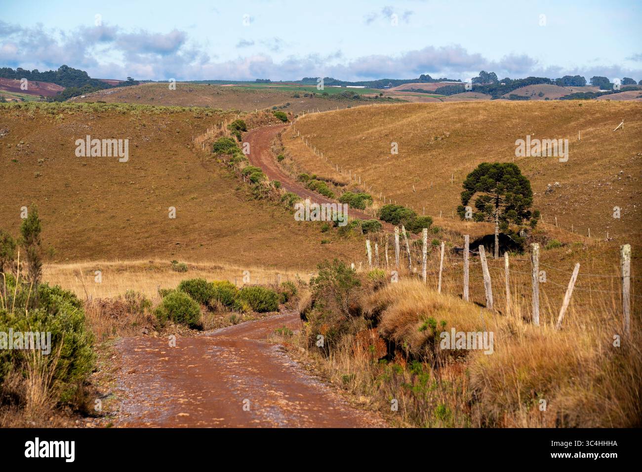 Pista sporca che attraversa vasti campi vicino alla città di Bom Jesus, Santa Catarina, Brasile Foto Stock