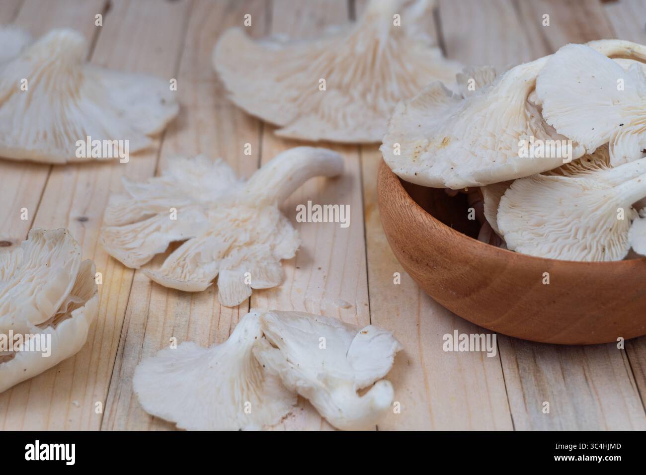 Funghi di ostriche freschi o funghi tiram con consistenza morbida e colore pallido, perfetti per piatti vegetariani, ingredienti da cucina o visua di cibo biologico Foto Stock
