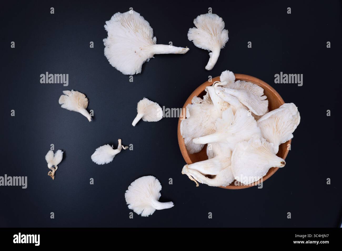 Funghi di ostriche freschi o funghi tiram con consistenza morbida e colore pallido, perfetti per piatti vegetariani, ingredienti da cucina o visua di cibo biologico Foto Stock