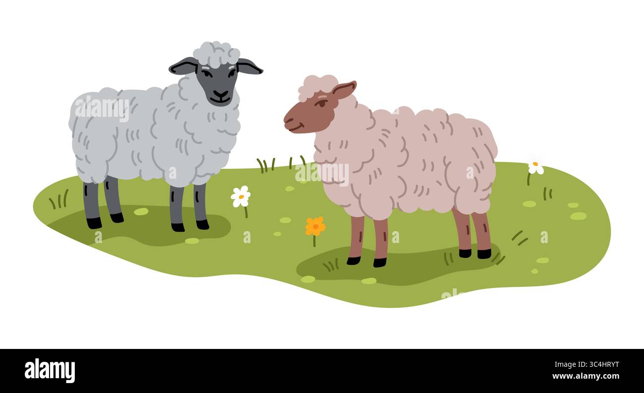 Due pecore soffici, una grigia e una marrone che guardano su un prato erboso con fiori sparsi, che rappresentano una tranquilla fattoria e la vita rurale. Vettore piatto cartoni animati Illustrazione Vettoriale