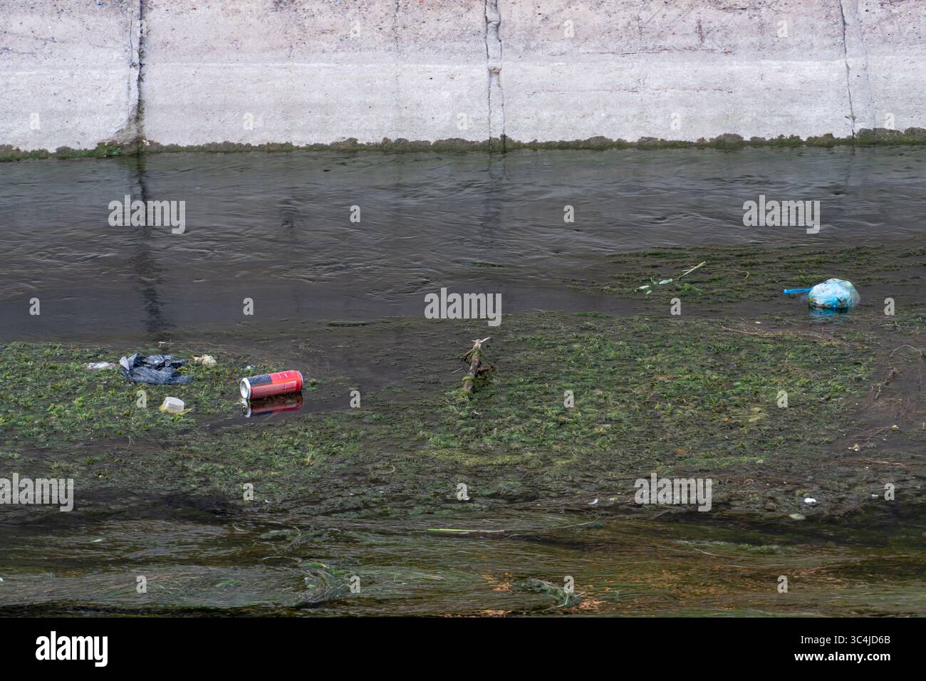 Acqua di fiume inquinata con spazzatura galleggiante, plastica e alghe. Problema ambientale e concetto di inquinamento idrico Foto Stock