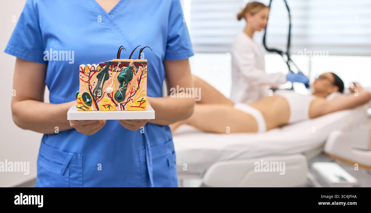 Il cosmetologo spiega come strutturare i peli sulla pelle utilizzando il modello anatomico della pelle, mentre un altro professionista esegue la depilazione laser per i pazienti che utilizzano il moderno Foto Stock