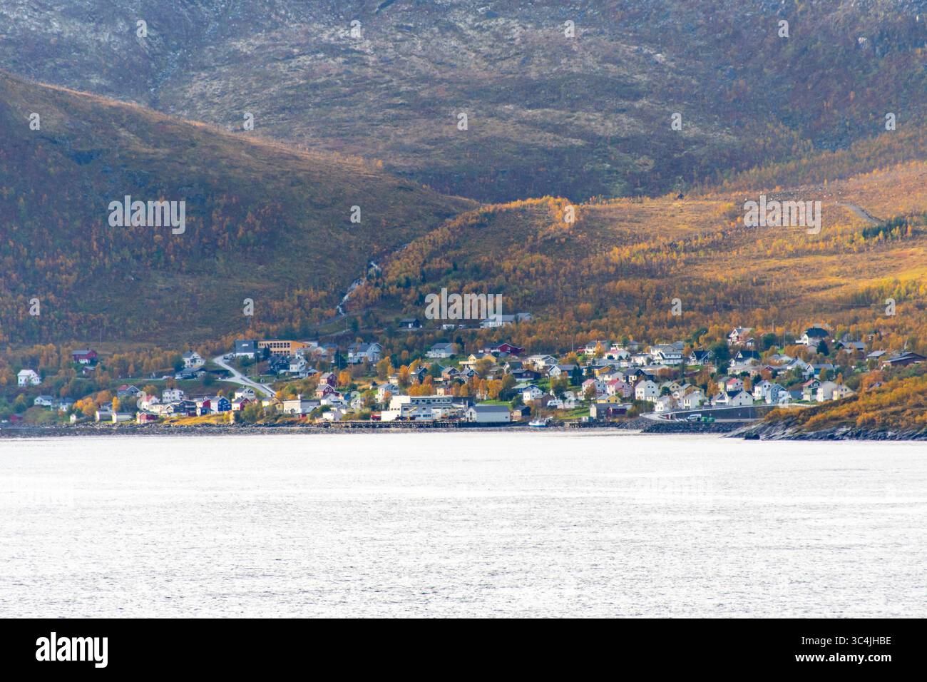 Villaggio di Fjordgard sull'isola di Senja - Norvegia Foto Stock