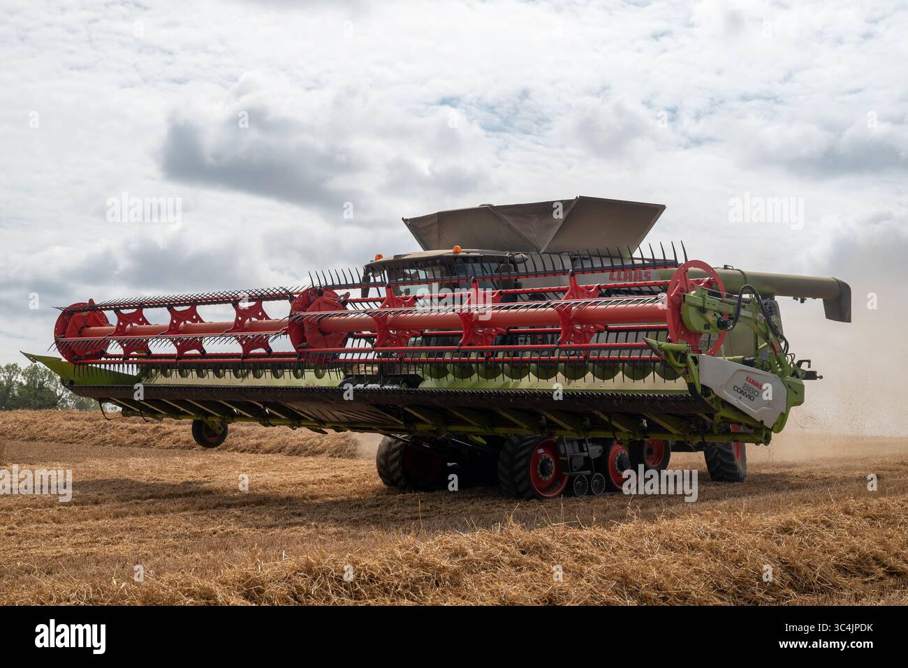 Una mietitrebbia che raccoglie le colture in un campo di grano nel cuore della campagna inglese. Luglio 2025. Foto Stock