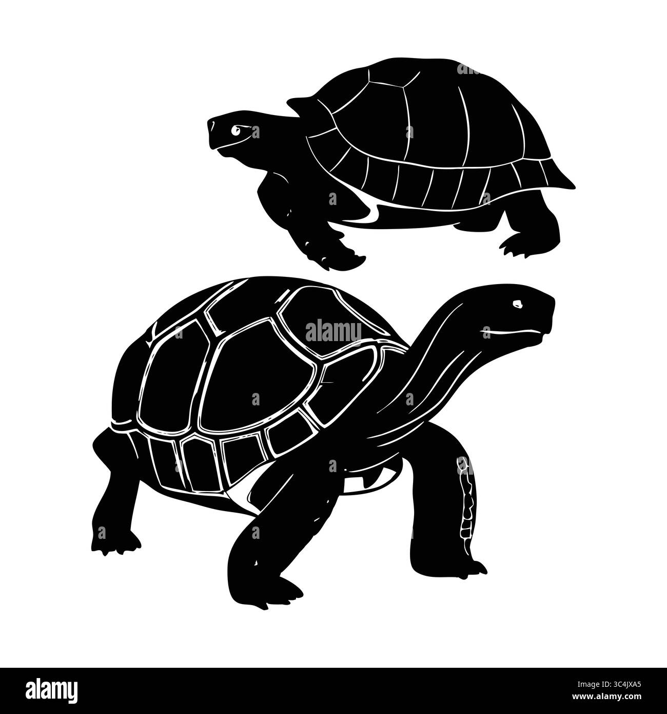 Silhouette nere di due tartarughe giganti Aldabra con Shell e collo esteso Illustrazione Vettoriale