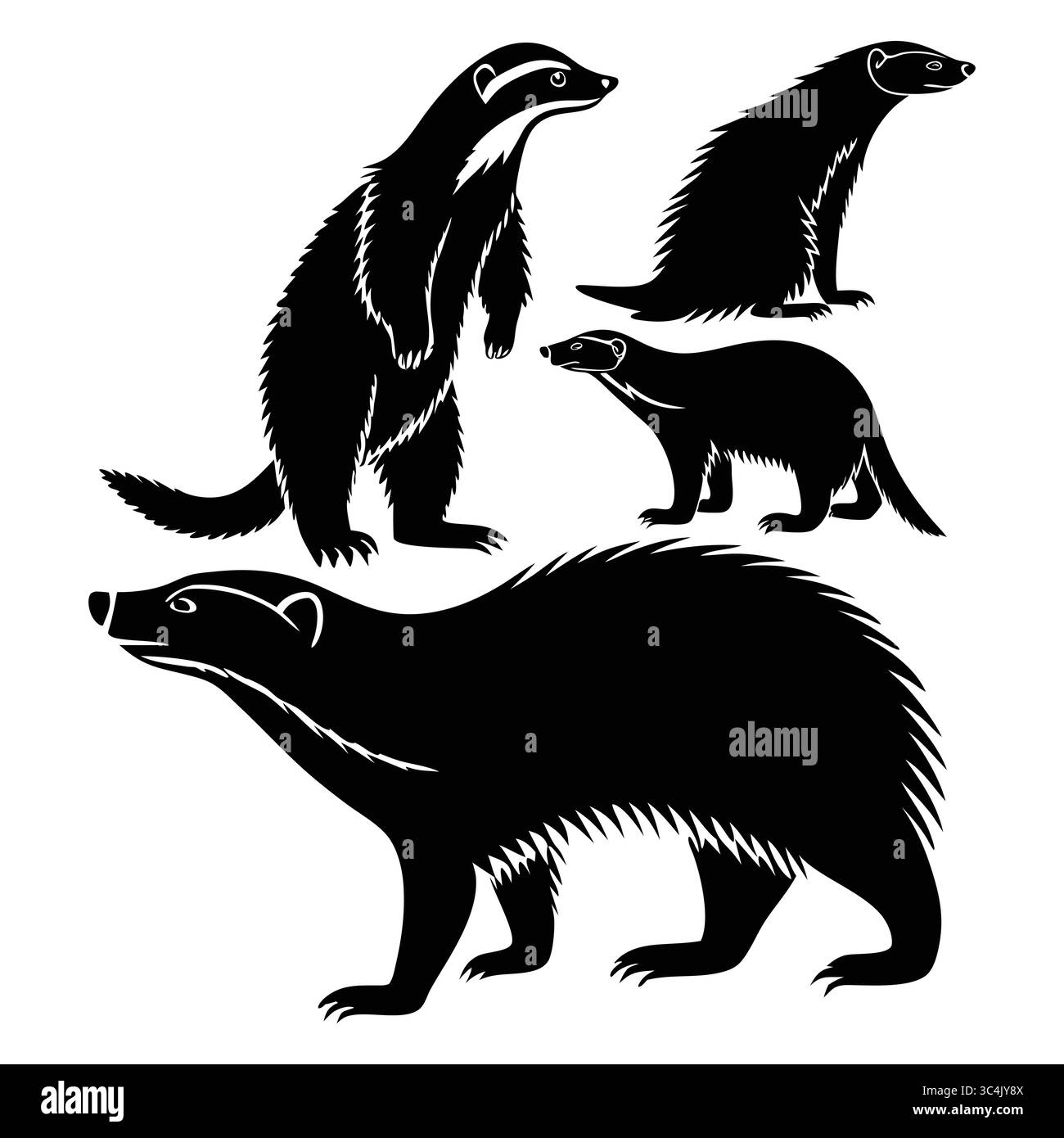 Silhouette bianche e nere di Badgers in varie pose Illustrazione Vettoriale