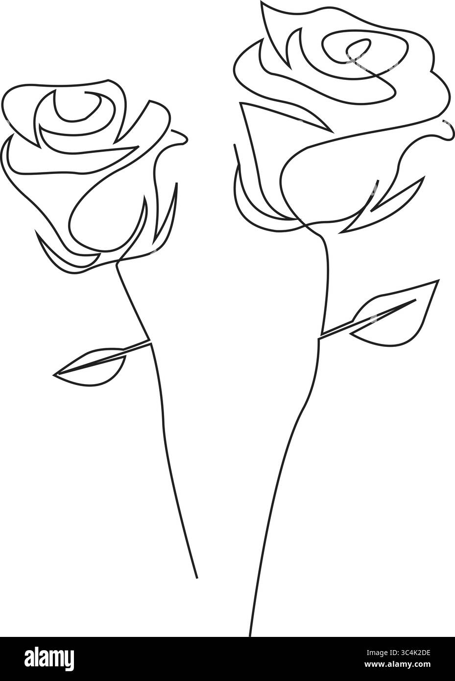 Rosa da giardino con foglie a una linea continua. Schizzo disegnato a mano. Illustrazione vettoriale. Illustrazione Vettoriale