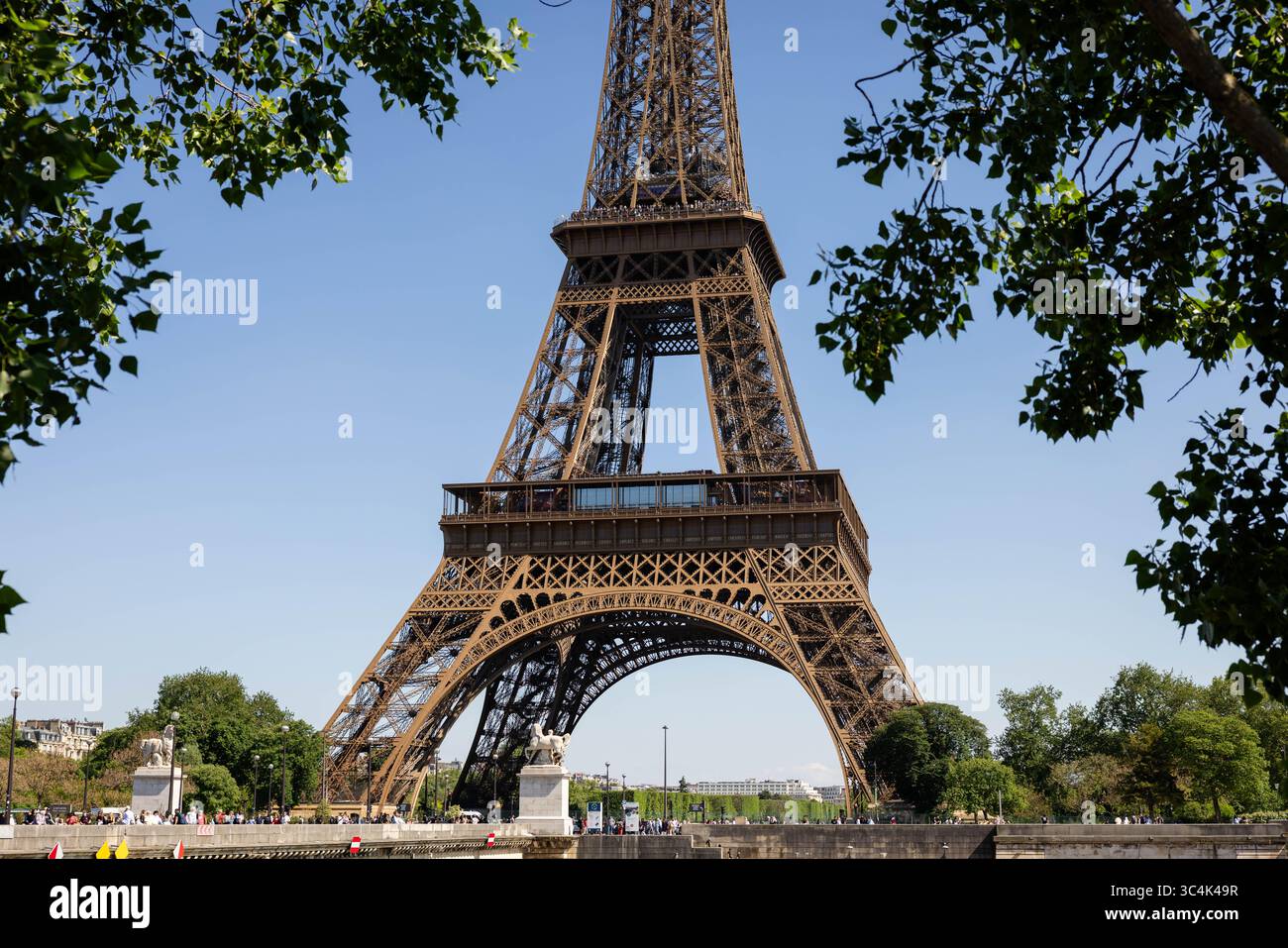 Torre Eiffel vista attraverso il verde lussureggiante fogliame degli alberi giorno estivo Parigi, Francia Foto Stock