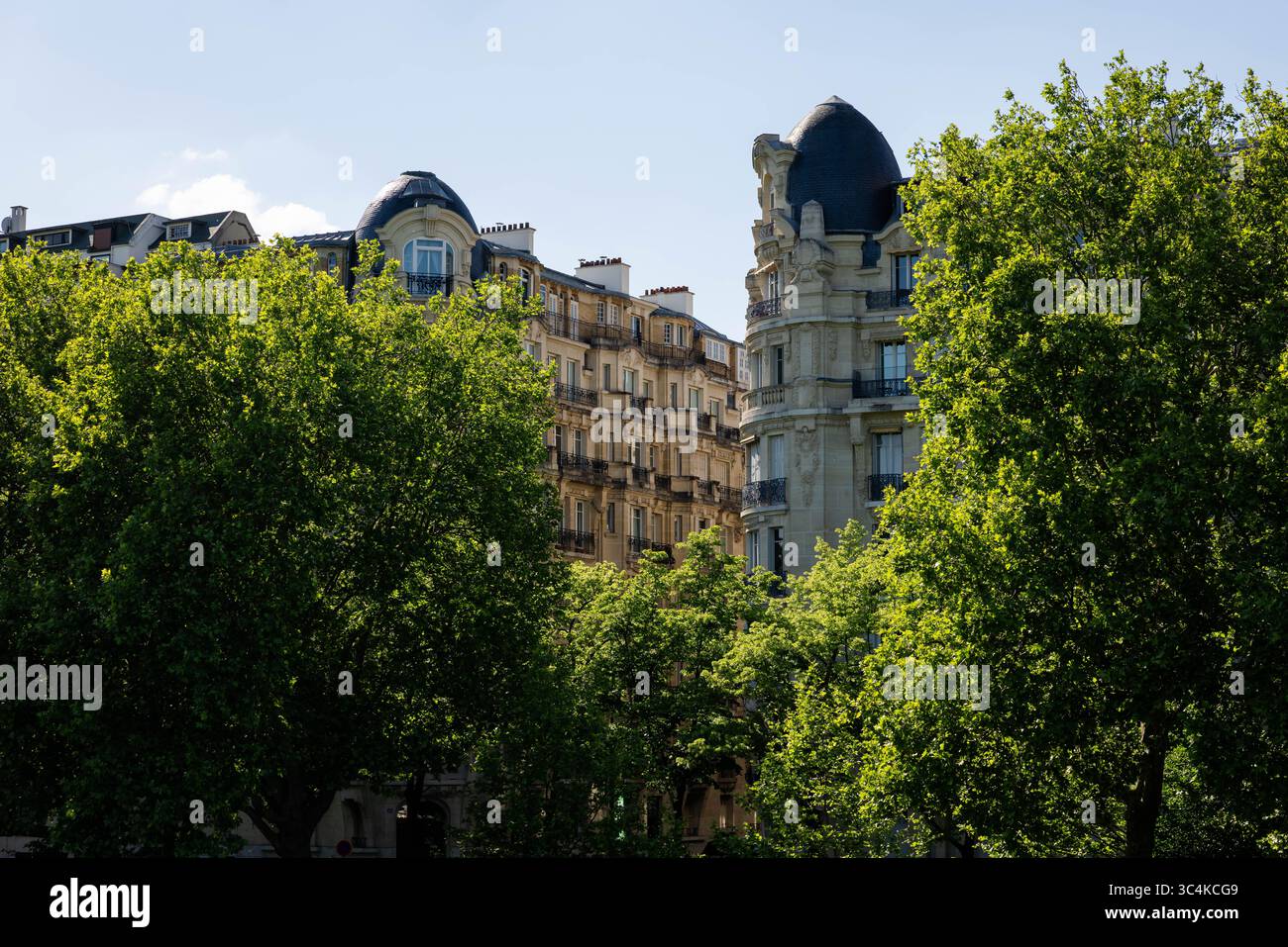 Classici edifici Haussmann dietro lussureggianti alberi verdi estate Parigi, Francia Foto Stock