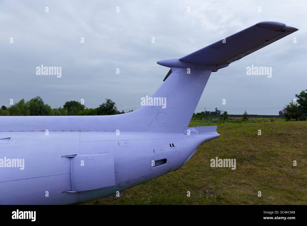 Una prospettiva unica di una coda di un aeroplano in un campo sotto il cielo coperto, che mostra il suo esterno viola e il paesaggio naturale circostante Foto Stock