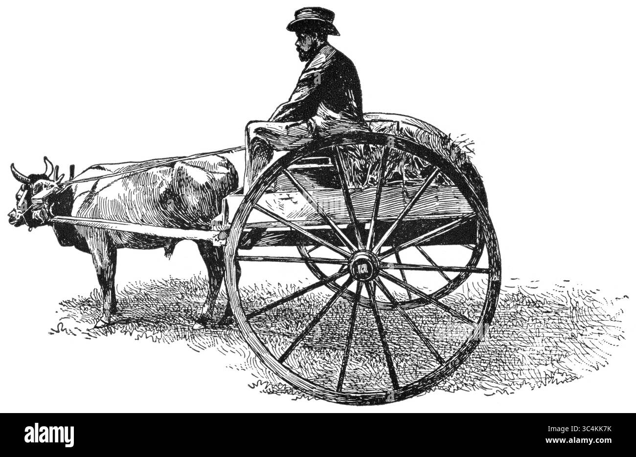 21 novembre 2017 - USA - carrello bue, Jacksonville, Florida, USA, illustrazione, Classic Portfolio of primitive Carriers, di Marshall M. Kirman, World Railway Publ. Co., illustrazione, 1895 (immagine di credito: © JT Vintage/Glasshouse via ZUMA Wire) Foto Stock