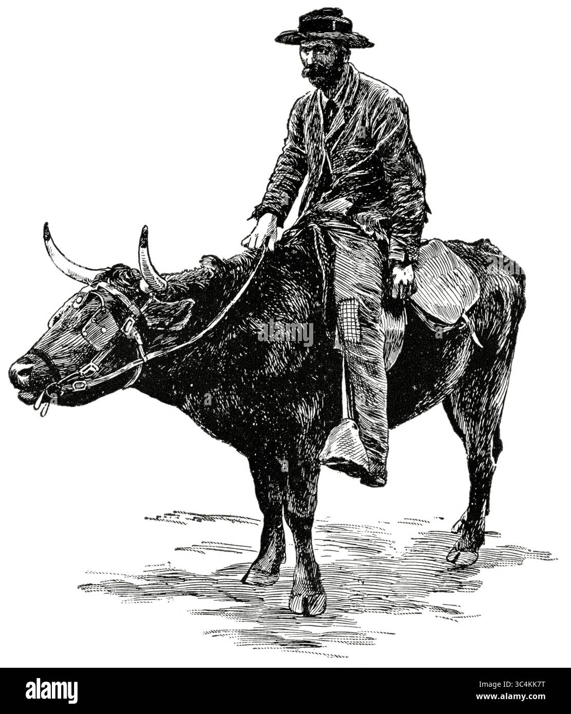 21 novembre 2017 - USA - Farmer, â€œCrackerâ€ , Florida, USA, illustrazione, Classic Portfolio of primitive Carriers, di Marshall M. Kirman, World Railway Publ. Co., illustrazione, 1895 (immagine di credito: © JT Vintage/Glasshouse via ZUMA Wire) Foto Stock
