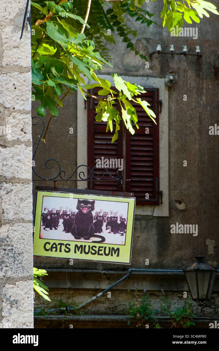 Museo dei gatti nella città vecchia di Cattaro, Montenegro. Foto Stock