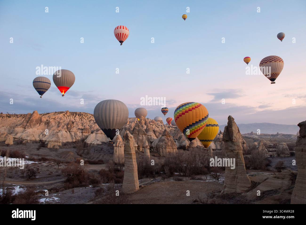 Vista panoramica sulla valle della regione della Cappadocia con camini delle fate e mongolfiere che volano nel cielo Foto Stock