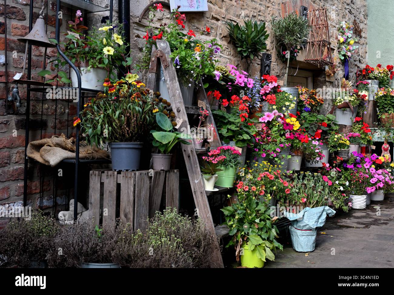 Negozio di fiori del villaggio Foto Stock