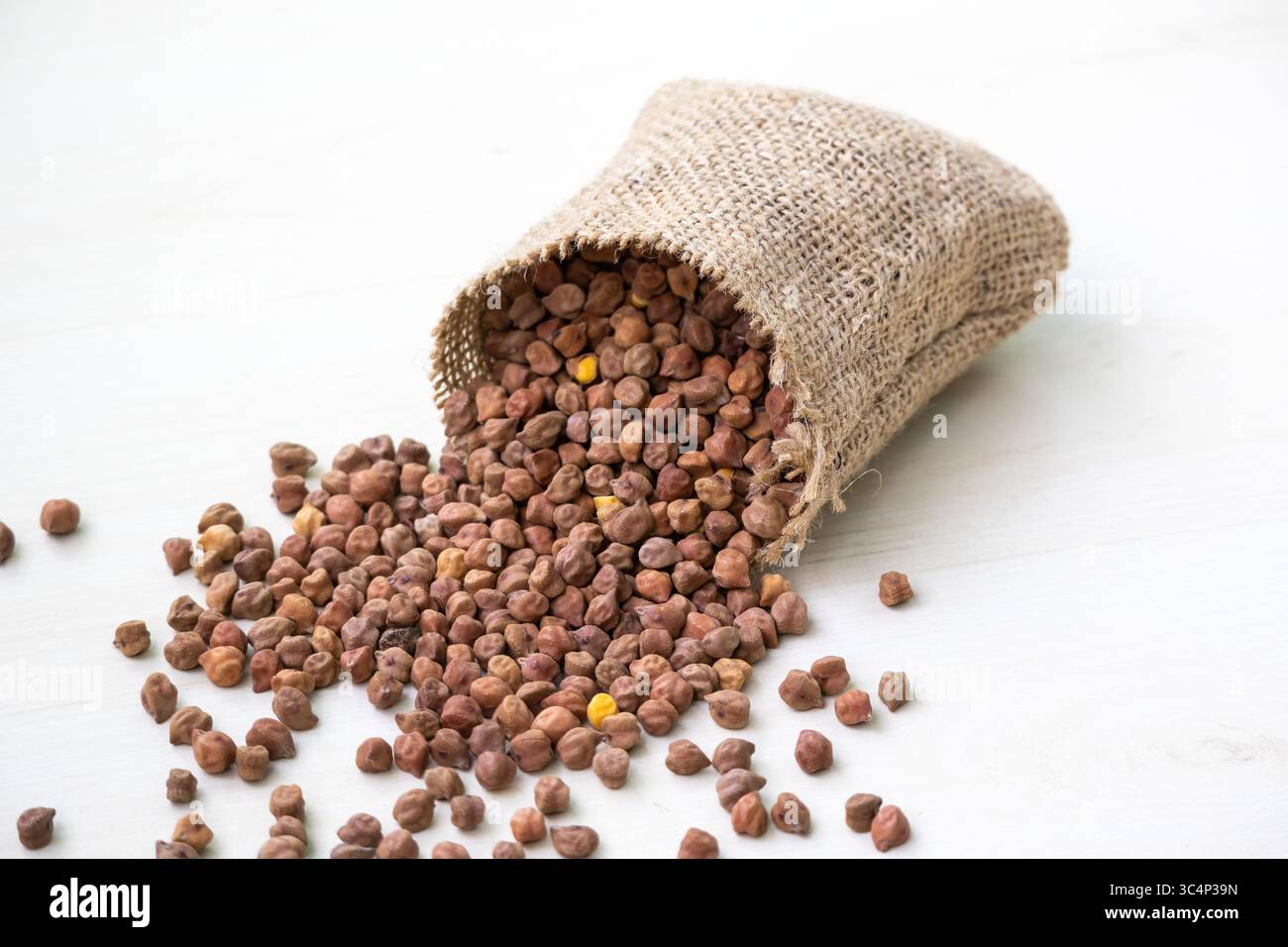 Ceci crudi che fuoriescono da un sacco rustico. Noto anche come grammo, grammo del Bengala, ceci o piselli egiziani. Ideale per mangiare sano, vegano e veg Foto Stock