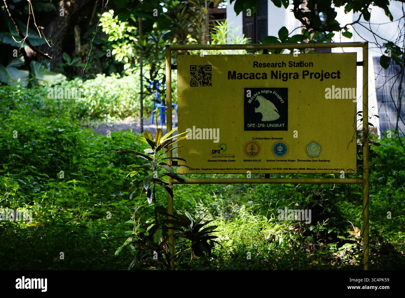 Sistema di segnaletica il rifugio di ricerca del progetto di conservazione Macaca Nigra nel Parco Nazionale di Tangkoko. Foto Stock