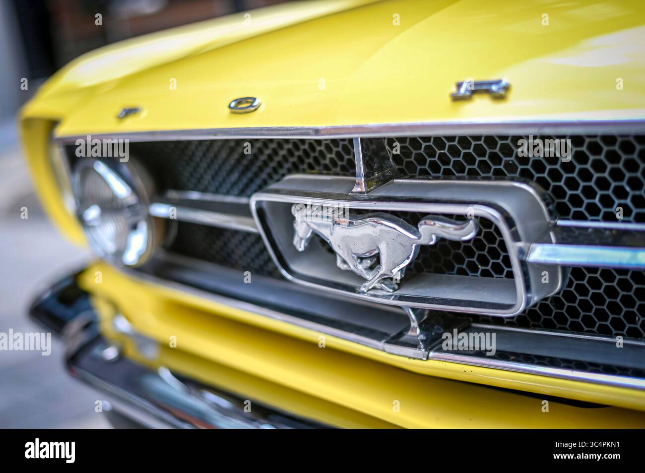 Dettaglio ravvicinato di una griglia e del logo Mustang su una Ford Mustang gialla del 1965, fotografata durante un evento di auto d'epoca a Kitchener, Ontario, Canada. Foto Stock Dettaglio ravvicinato di una griglia e del logo Mustang su una Ford Mustang gialla del 1965, fotografata durante un evento di auto d'epoca a Kitchener, Ontario, Canada. Foto Stock