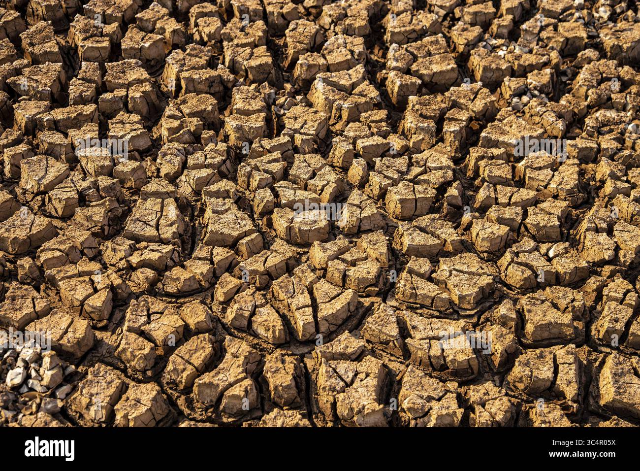 Veduta aerea della terra argillata che rivela un mosaico di argilla incrinata, cotta dal sole implacabile, un'evidente testimonianza della morsa della siccità, Marsabit, contea di Marsabit, Kenya. Foto Stock