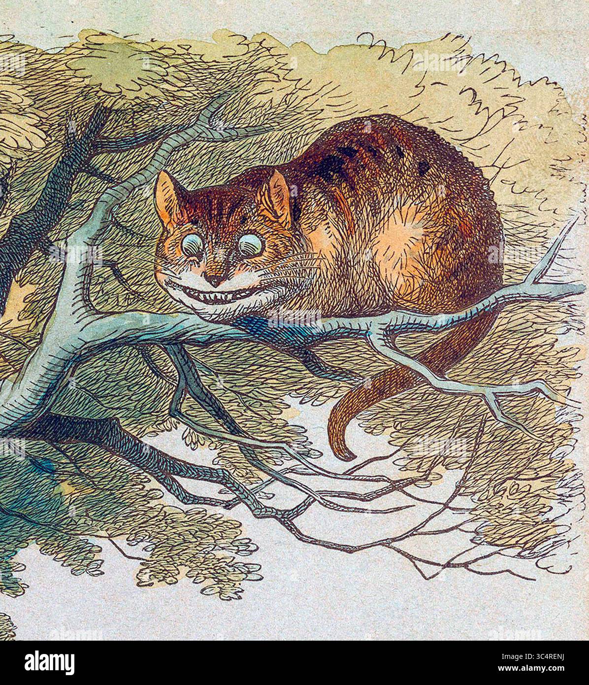 Il Cheshire Cat. Illustrazione di John Tenniel da Alice's Adventures in Wonderland 19th Century Foto Stock