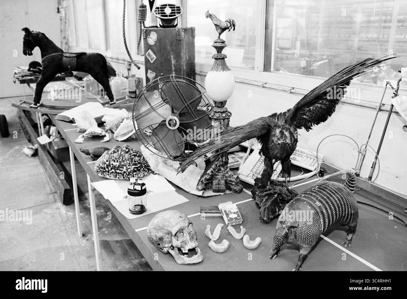 Tavolo con oggetti di scena, Perspect, Haarlem, Paesi Bassi, 10-06-1997 Whizgle News, Dutch Desk, Paesi Bassi, 1950-2000 una collezione eclettica di manufatti con una statua di cavallo, una lampada d'epoca, una grande figura di corvo, teschi di animali e varie curiosità esposte su un lungo tavolo in un laboratorio. Foto Stock