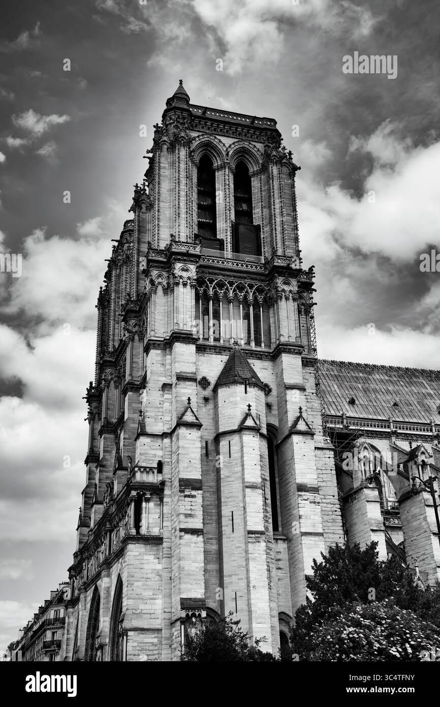 Splendido design architettonico all'ingresso della Cattedrale di Notre Dame a Parigi, Francia Foto Stock