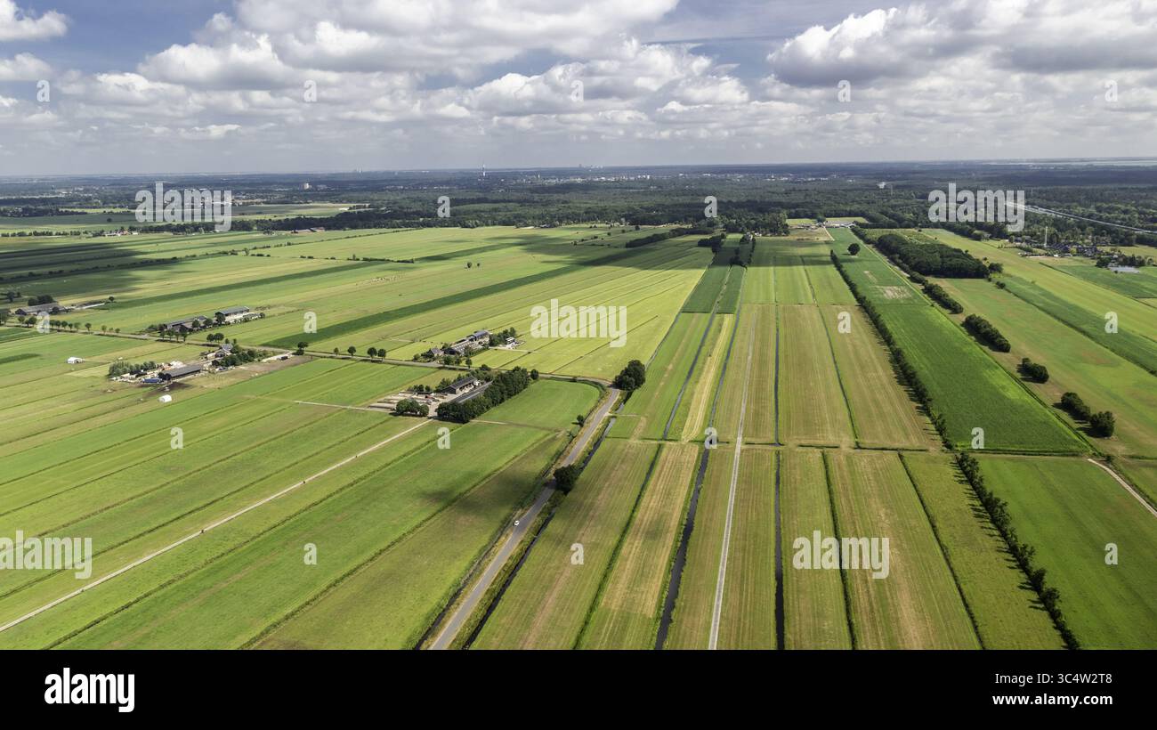 Vista aerea dei campi di patchwork che creano un arazzo vibrante sotto un cielo nuvoloso, intersecati da strade e canali, Maartensdijk, Utrecht, Paesi Bassi. Foto Stock