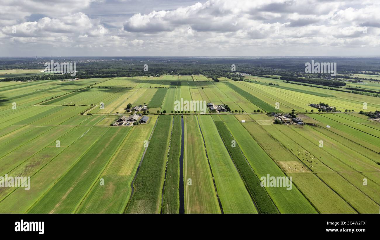Vista aerea dei campi di patchwork che creano un vivace arazzo di verdi e gialli, sezionati da canali scuri e linee di alberi, Maartensdijk, Utrecht, Paesi Bassi. Foto Stock