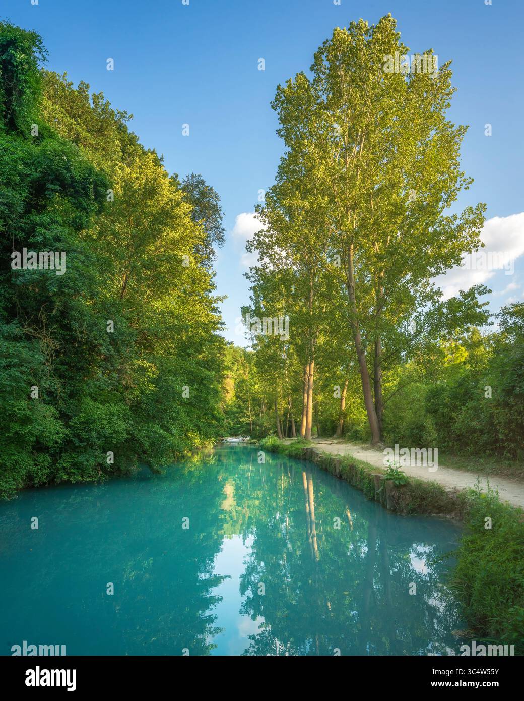 Fiume Elsa e alberi lungo il sentiero Sentierelsa. Colle di Val d'Elsa, provincia di Siena, regione Toscana, Italia, Europa Foto Stock