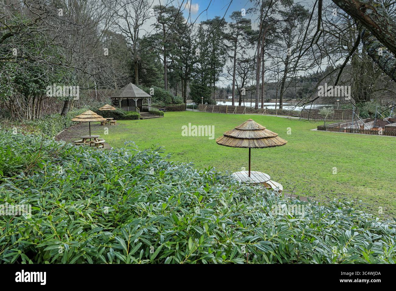 Area ricreativa all'aperto con tavoli, sedie e ombrelloni presso Center Parcs, Longleat Forest Holiday Village, Warminster, Wiltshire, Inghilterra, Regno Unito, Foto Stock