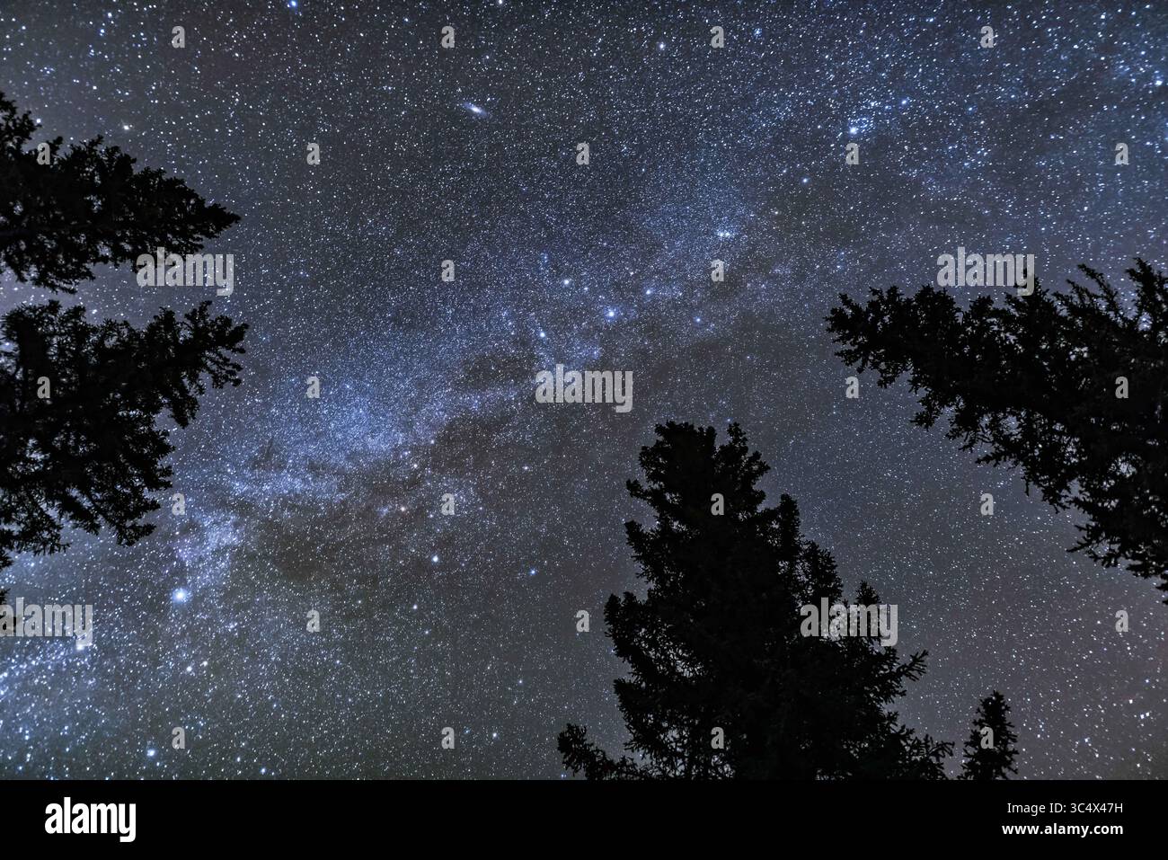 23 ottobre 2016 - Canada - Cassiopeia quasi in testa in una notte d'autunno, tra i pini della cascata Athabasca, Jasper National Park, Alberta. La Galassia di Andromeda è in alto, Perseo è in alto a destra, e Cefeo e Cygnus in basso a sinistra. Si tratta di una pila di 4 esposizioni per gli alberi (media combinata con rumore uniforme) e una per il cielo, tutte 25 secondi a f/2 con l'obiettivo da 20 mm e Nikon D750 a ISO 6400. Tutte le esposizioni non tracciate. Le nuvole di luce hanno aggiunto la luce naturale delle stelle. (Immagine di credito: © Alan Dyer / Vwpics/VW Pics tramite cavo ZUMA) Foto Stock