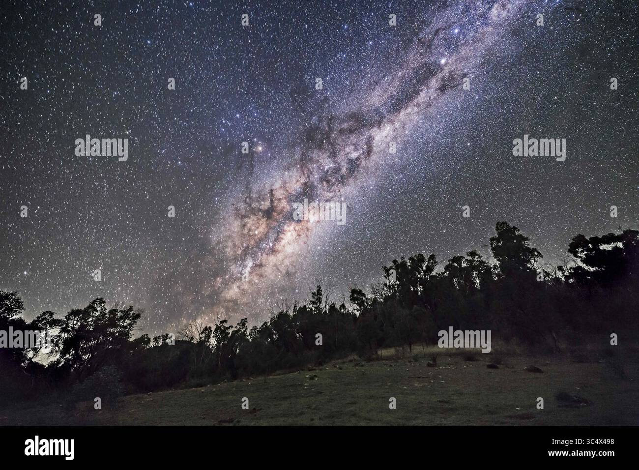 19 aprile 2017 - Australia - la via Lattea meridionale e il centro galattico si innalzano in una notte di aprile in Australia, con le costellazioni del Sagittario e dello Scorpio in arrivo, e il rigonfiamento del centro galattico sopra le cime degli alberi. Il cielo è scolorito da alcune bande di bagliore d'aria. Alpha e Beta Centauri sono in alto a destra. Antares è a sinistra del centro. I vicoli oscuri qui formano il collo e il corpo dell'UEM Oscuro. Si tratta di una pila di 8 esposizioni da 45 secondi per il terreno, media combinata con un rumore uniforme, e un'esposizione non tracciata di 45 secondi per il cielo, il tutto con l'obiettivo Rokinon 14m a f/2,5 e Canon Foto Stock