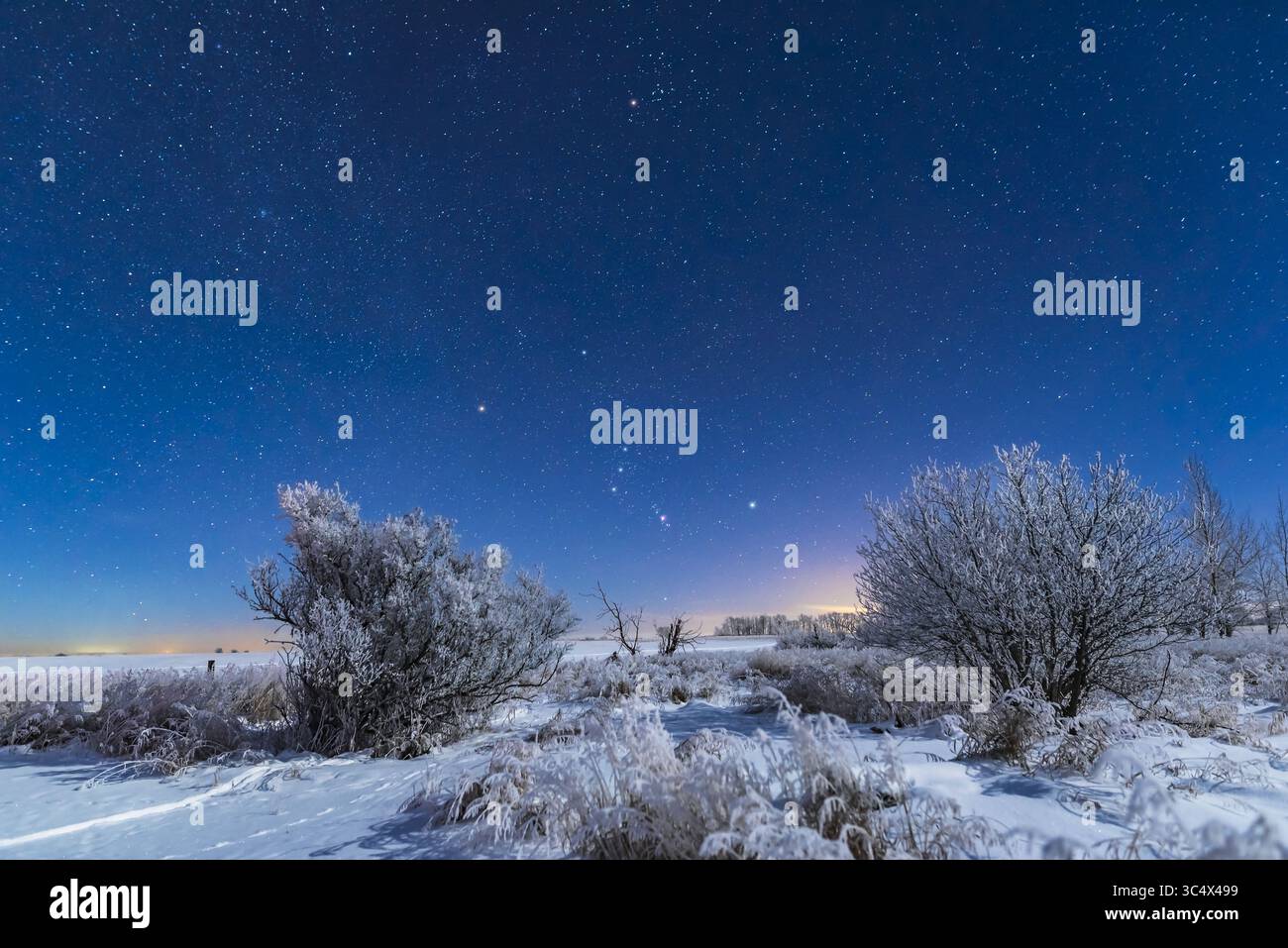 3 gennaio 2017 - Canada - Orione e Toro che si innalzano al chiaro di luna su un paesaggio innevato a casa mia nell'Alberta meridionale, in una notte molto fredda e ghiacciata di -20Â C il 3 gennaio 2017. L'illuminazione proviene dalla luna crescente cerata. Orion è sotto con Toro in alto...si tratta di una pila di 4 immagini per il terreno per uniformare il rumore e di un'immagine per il cielo, tutti 15 secondi a f/2,8 e ISO 1250 con l'obiettivo Nikon D750 e Sigma da 24 mm. (Immagine di credito: © Alan Dyer / Vwpics/VW Pics tramite cavo ZUMA) Foto Stock