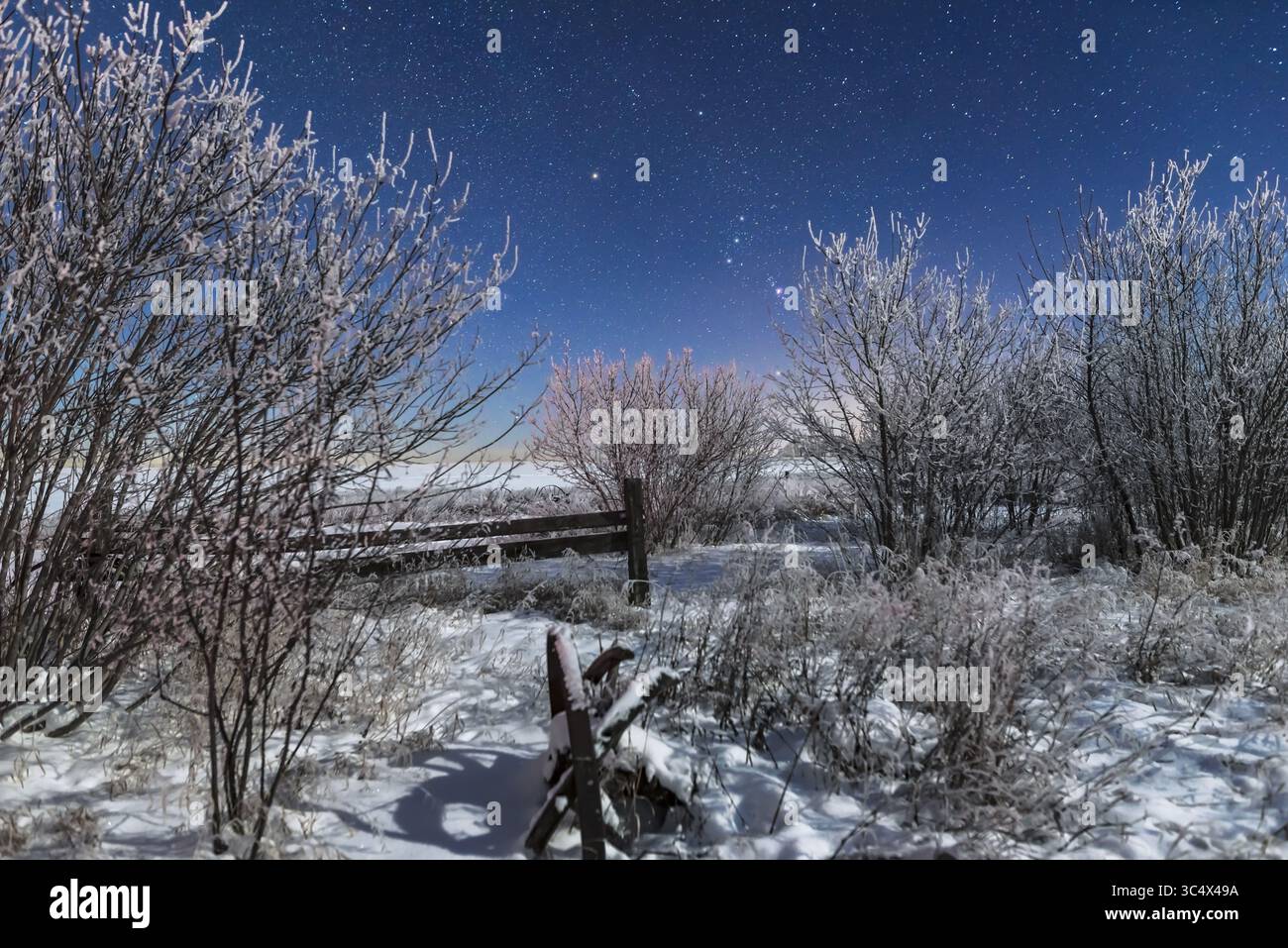 3 gennaio 2017 - Canada - Orione che sorge al chiaro di luna sopra una vecchia recinzione e un attrezzo agricolo nella mia casa nell'Alberta meridionale, in una notte molto fredda e ghiacciata di -20Â C il 3 gennaio 2017. L'illuminazione proviene dalla luna crescente cerata... si tratta di una pila di 4 immagini da terra per uniformare il rumore e di un'immagine per il cielo, tutte 15 secondi a f/2,8 e ISO 1250 con l'obiettivo Nikon D750 e Sigma da 24 mm. (Immagine di credito: © Alan Dyer / Vwpics/VW Pics tramite cavo ZUMA) Foto Stock