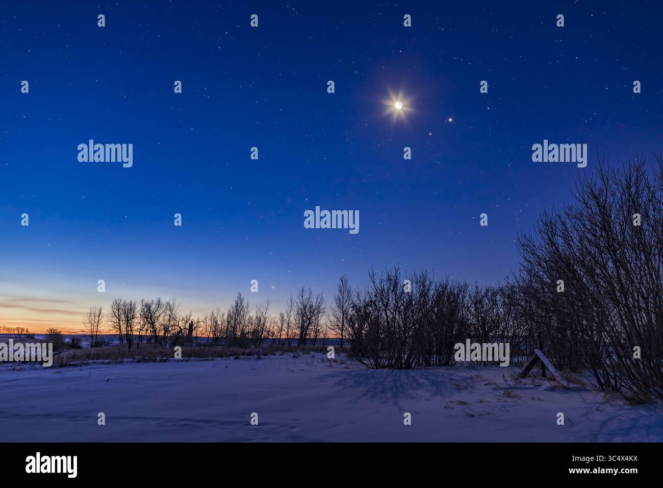 11 gennaio 2018 - Alberta, Canada - il cielo mattutino dell'11 gennaio 2018, con la luna crescente che si sta abbassando che splende sopra l'accoppiamento di Marte (a sinistra) e Giove (a destra). La Luna e i pianeti si trovano in Libra appena ad est (a sinistra) della stella Zubenelgenubi, o Alpha Librae. A sinistra del centro, Antares e le stelle dello Scorpio stanno appena salendo al crepuscolo dell'alba...questo era da casa l'11 gennaio 2018 poco dopo le 7 del mattino, con la temperatura di circa -30Â C, ma per fortuna poco vento. Si tratta di una pila di quattro esposizioni da terra per uniformare il rumore, e una per il cielo, più un'esposizione breve di 1 secondo per Foto Stock
