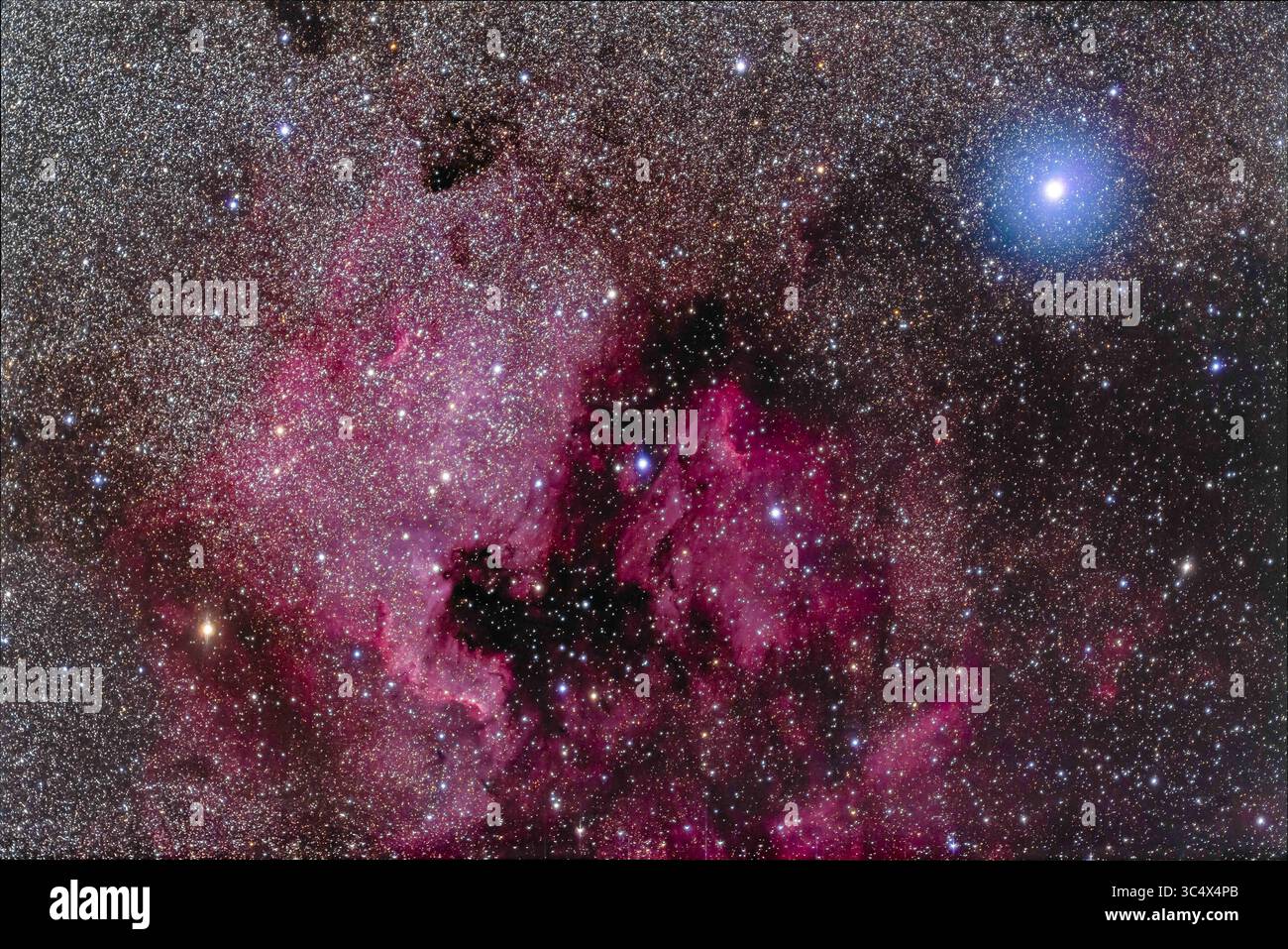 16 maggio 2018 - Alberta, Canada - Nebulosa del Nord America (NGC 7000) e nebulosità associata e ammassi stellari, vicino alla stella bianca-blu Deneb a Cygnus. Questo avviene con il rifrattore astrografico serie 6000 Meade 70mm f/5 (per una lunghezza focale di 350mm), scattato il 15 maggio 2018. Si tratta di una pila di esposizioni di 8 x 5 minuti con il Canon 5D MkII modificato con filtro a ISO 1600, con una nona esposizione miscelata per aggiungere il bagliore intorno a Deneb dall'alta foschia che attraversa durante l'esposizione, per aggiungere il contrasto di colore tra la stella blu e la nebulosa rossa. Tutte le pile in Photoshop. (Credito IM Foto Stock
