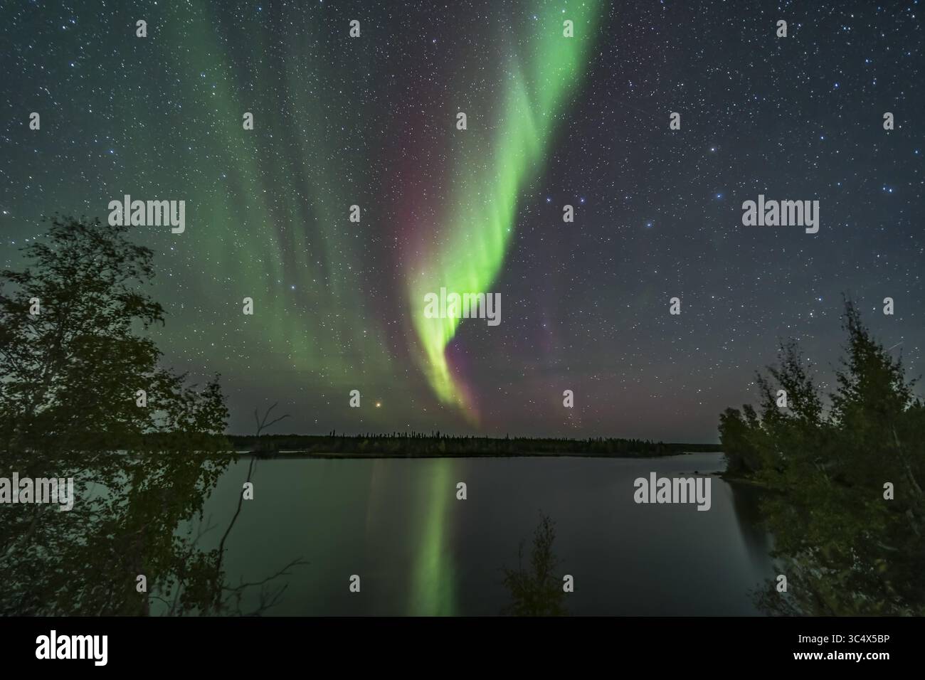 9 settembre 2018 - Alberta, Canada - Una tenda aurora verde e rossa a nord-ovest sopra il lago Tibbitt, lungo l'Ingraham Trail vicino a Yellowknife, NWT. Il Big Dipper è a destra del centro; Arcturus si imposta all'orizzonte. Questo era l'8 settembre 2018... si tratta di una pila media combinata di 8 esposizioni per il terreno e l'acqua per uniformare il rumore, e di una singola esposizione per il cielo, tutti 25 secondi a f/2 con l'obiettivo Laoawa da 15 mm e Sony A7III a ISO 1600. (Immagine di credito: © Alan Dyer / Vwpics/VW Pics tramite cavo ZUMA) Foto Stock