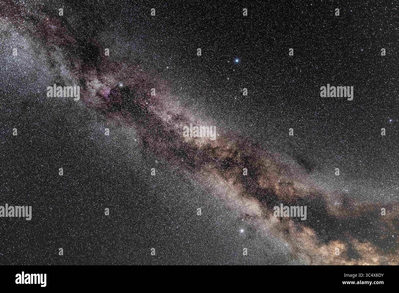 15 luglio 2018 - Alberta, Canada - la via Lattea dell'estate settentrionale attraverso l'area del Triangolo estivo, mostrando il cambiamento di colore mentre la via Lattea si dirige a sud verso le regioni più polverose intorno al nucleo galattico. Deneb in Cygnus è in alto, Vega in Lyra è in alto a destra, e Altair in Aquila è in basso. ..i vicoli scuri del Cygnus Rift si presentano bene, iniziando da Cygnus e dividendo la via Lattea in due a sud...gli oggetti più importanti del cielo profondo tutti visibili in binocolo sono:.- il complesso di nebulose scure le Gentil 3, noto anche come Nebulosa a imbuto, in alto a sinistra.- il rossastro Nord America Foto Stock