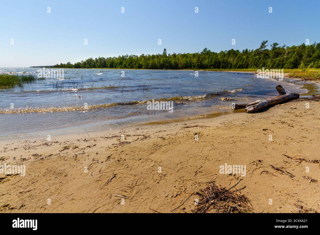 Lago Huron. La costa sabbiosa selvaggia della penisola di Bruce. Ontario, Canada Foto Stock