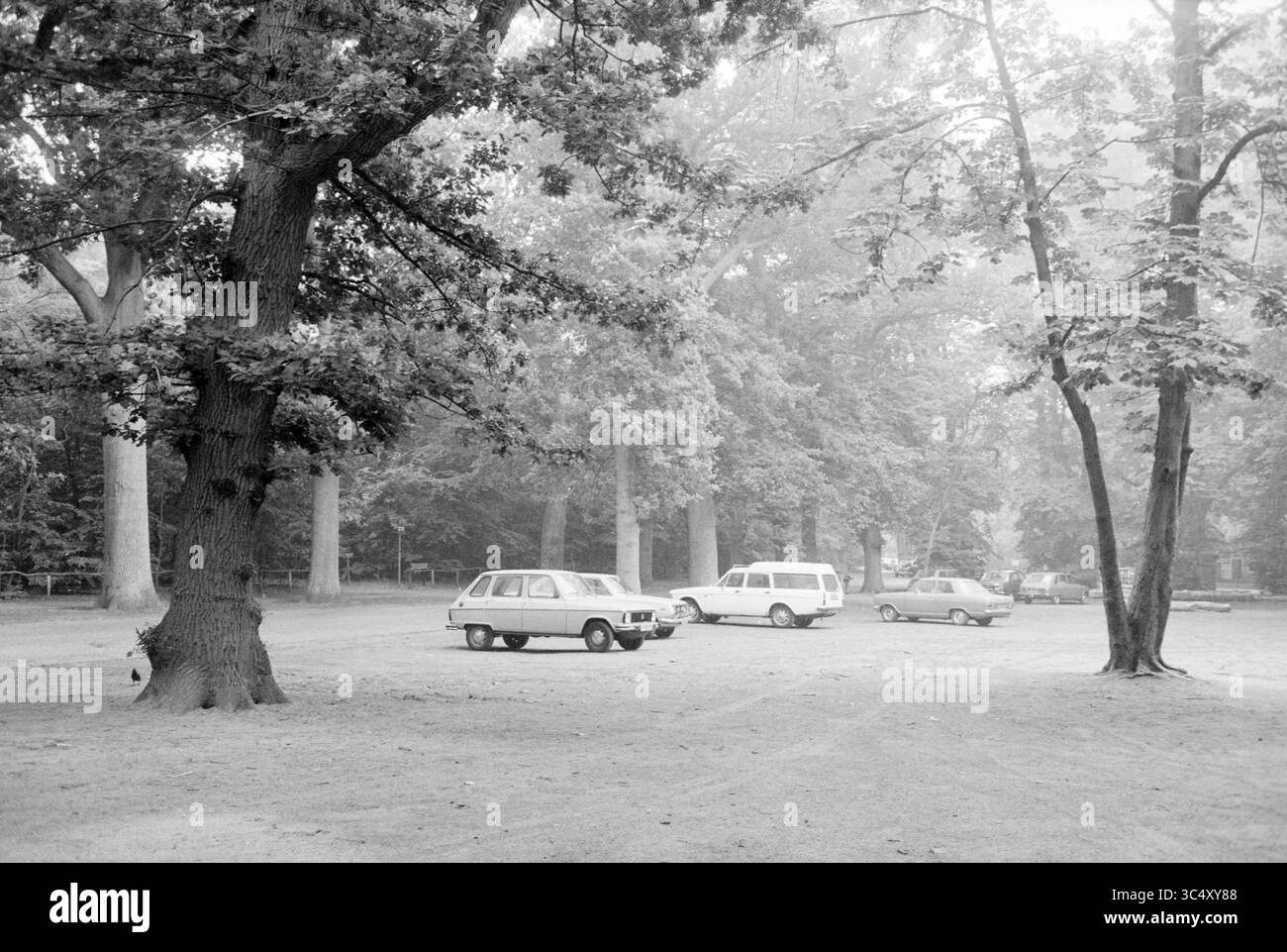 Automobili nella foresta di Groenendaal, foreste, Heemstede, Paesi Bassi, 18-07-1979 Whizgle News, Dutch Desk, Paesi Bassi, 1950-2000 Un tranquillo parcheggio circondato da alberi alti, con diverse auto d'epoca parcheggiate strategicamente su una superficie sterrata, che evoca un senso di nostalgia e tranquillità in mezzo alla natura. Foto Stock