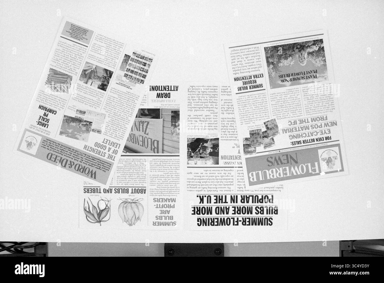 Brochure varie [International Flower Bulb Center, Flower Bulbs, Brochures, 01-03-1989 Whizgle News, Dutch Desk, i Paesi Bassi, 1950-2000 Una raccolta di pagine di giornali con vari articoli e titoli, tra cui argomenti su fiori, giardinaggio ed eventi locali, disposti in modo sparso su una superficie piana. Foto Stock