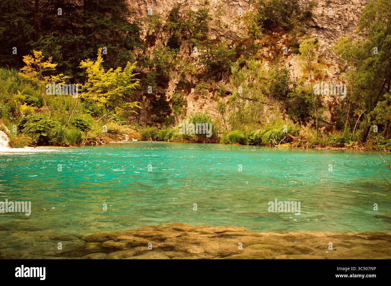 Acque poco profonde e cristalline vicino alla costa, circondate da alberi. Rilassante foto estive della natura in tonalità retrò Foto Stock