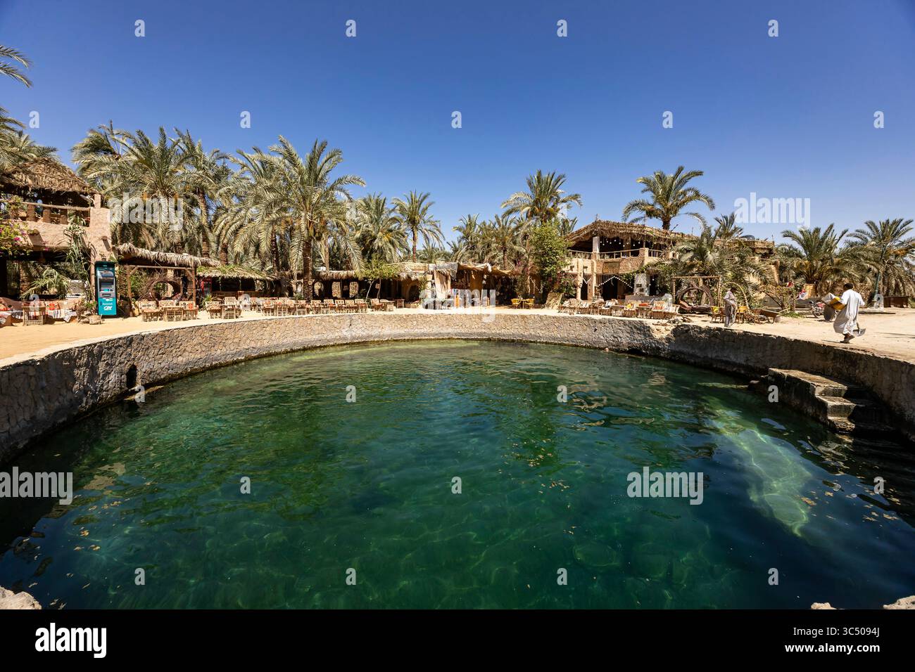 Siwa Oasis, Cleopatra Spring, Siwa, governatorato di Marsa Matrouh, Egitto, nord Africa, Africa Foto Stock