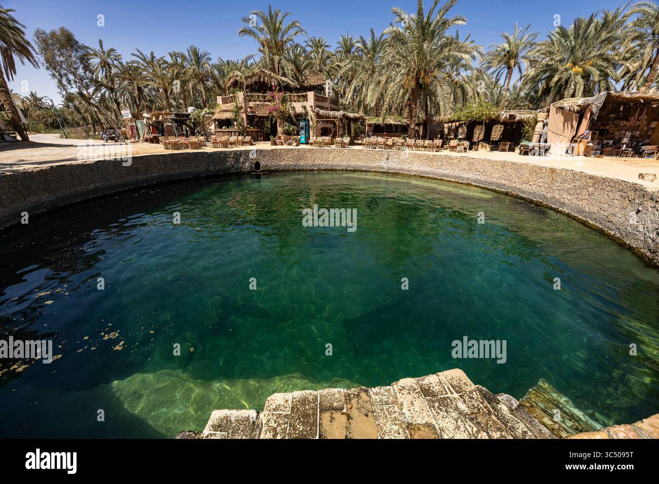Siwa Oasis, Cleopatra Spring, Siwa, governatorato di Marsa Matrouh, Egitto, nord Africa, Africa Foto Stock
