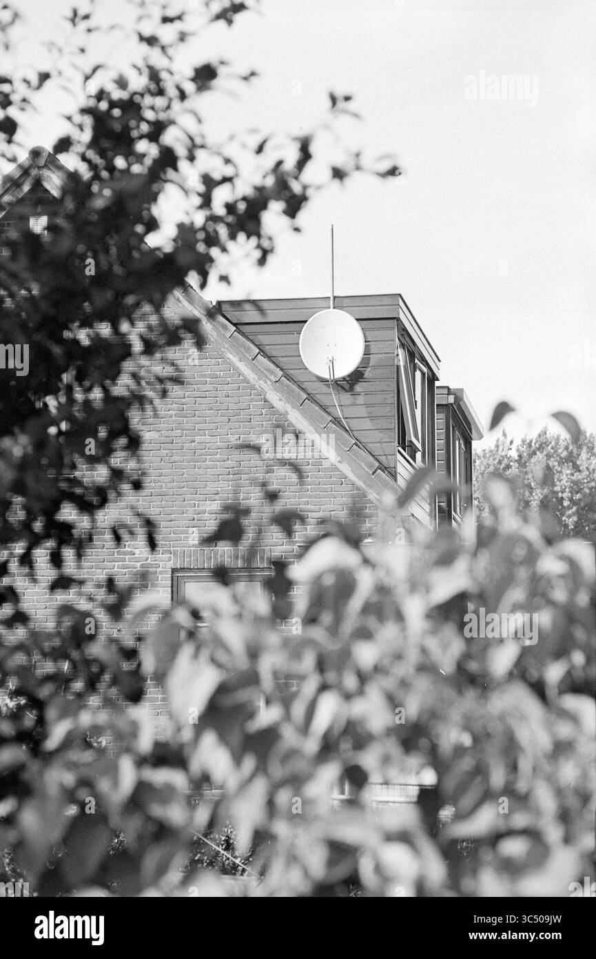 Parabola satellitare, Nieuwebrug, 22-08-1995 Whizgle News, Dutch Desk, Paesi Bassi, 1950-2000 il tetto inclinato Di Un edificio è parzialmente oscurato dal verde verde, caratterizzato da una parabola satellitare montata in cima. Foto Stock