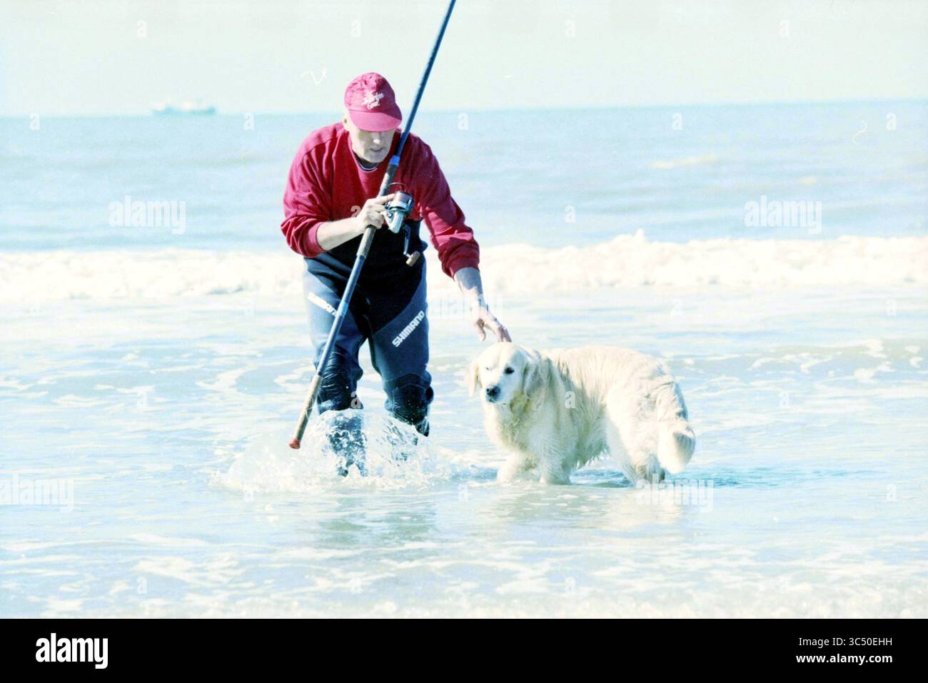 Campionato olandese di pesca marittima, Zandvoort, Zandvoort, 26-03-1999 Whizgle News, Dutch Desk, i Paesi Bassi, 1950-2000 Una persona cammina in acque poco profonde sulla spiaggia, interagendo giocosamente con un Golden retriever mentre le dolci onde si infrangono intorno a loro. Foto Stock